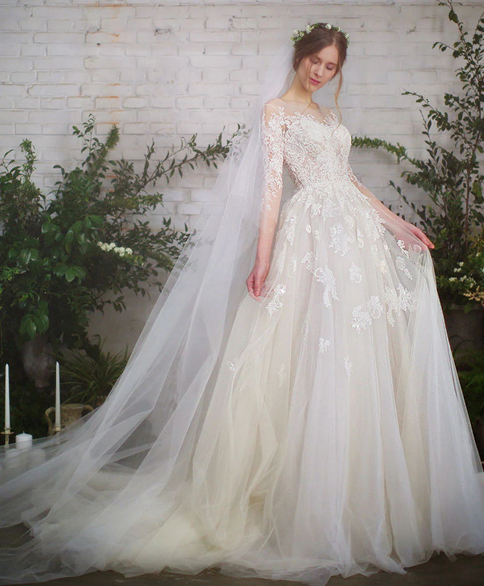 Light Champagne Tulle Lace Long Wedding Dress Lace Wedding Gown - Deanwangkt