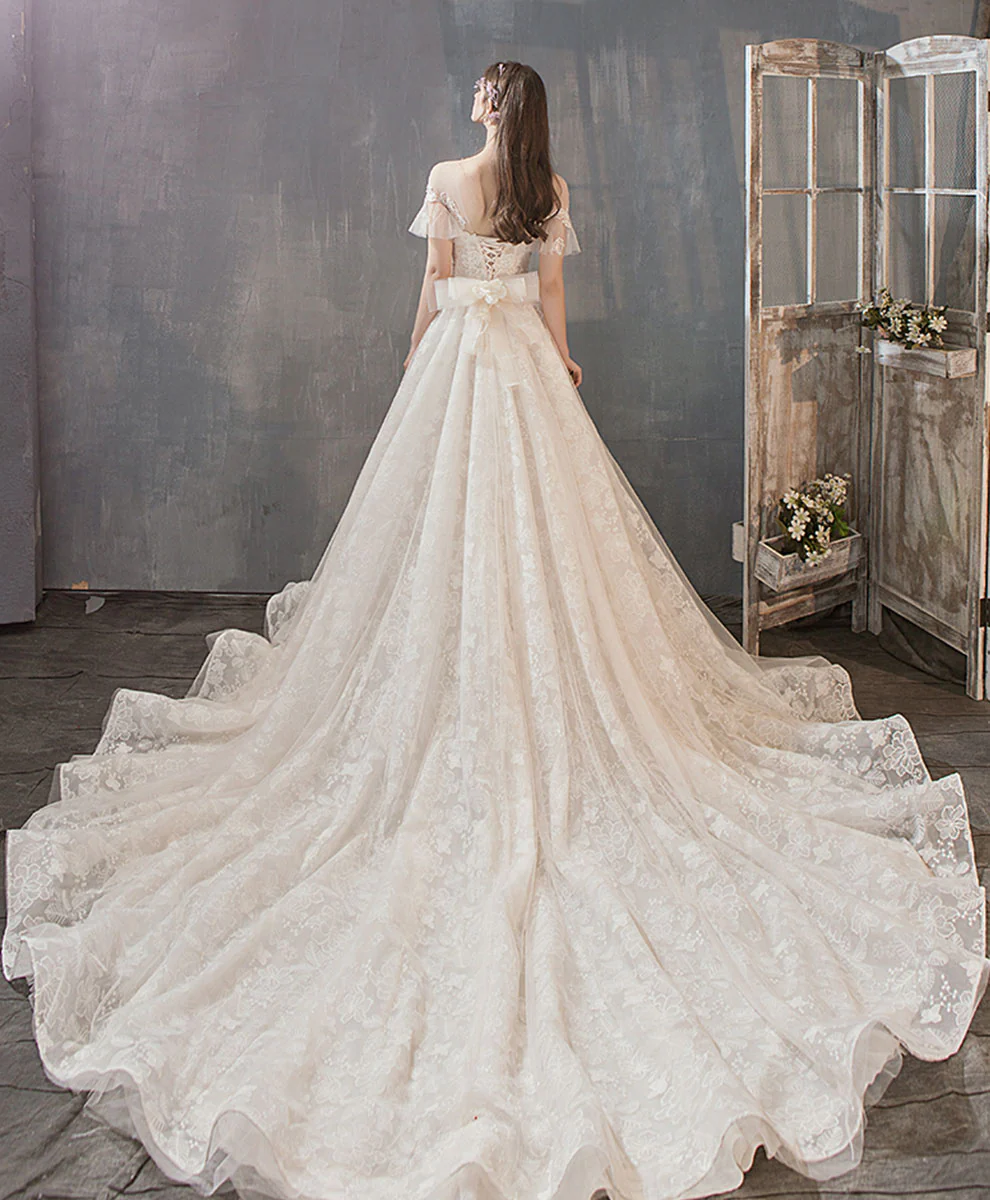 Light Champagne Tulle Lace Long Wedding Dress, Lace Bridal Dress - Deanwangkt
