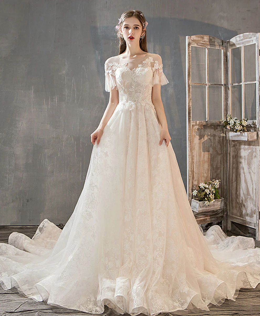 Light Champagne Tulle Lace Long Wedding Dress, Lace Bridal Dress - Deanwangkt