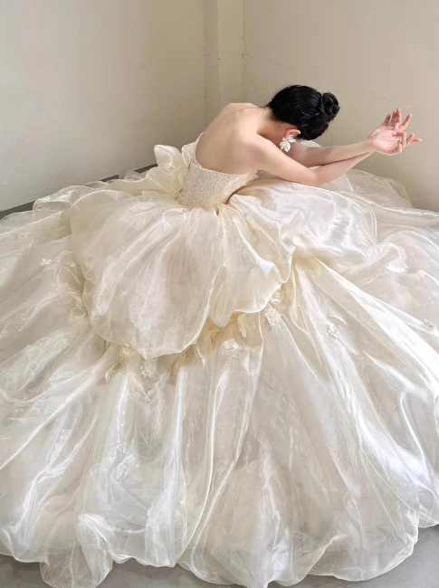 Elegant Strapless Ball Gown Tulle Long Luxury Wedding Dresses Light Champagne Sleeveless Bridal Gowns DP3019 - Deanwangkt