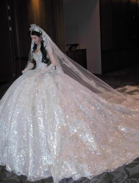 Luxury Sweetheart Neck Ball Gown Beaded Long Wedding Dresses Tulle White Bridal Dresses Sleeveless Bridal Gowns DP3697 - Deanwangkt