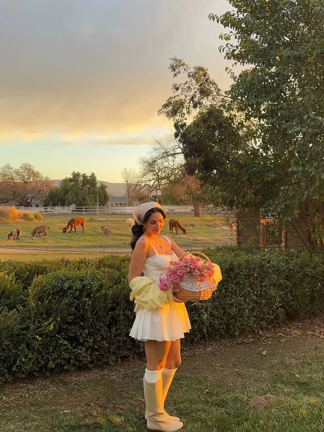 Cute A line Square Neck White Short Lace Homecoming Dress Summer Hoco Dresses Mini Night Homecoming Outfits DH2482 - Deanwangkt