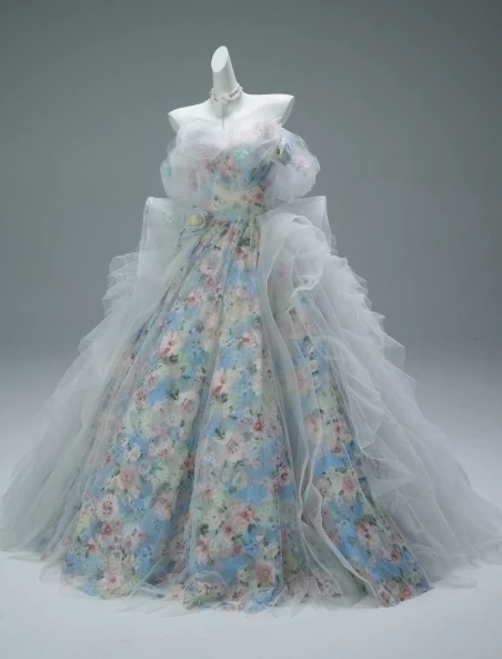 Elegant Ball Gown Off-the-shoulder Light Grey Tulle Beaded Print Long Quinceanera Dress Formal Gowns Vestido De 15 Anos Sweet 16 Dress DP2843 - Deanwangkt