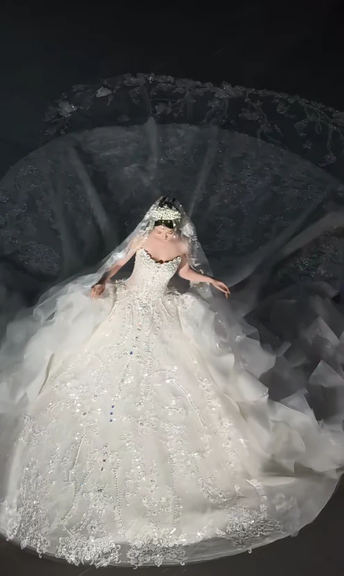 Elegant Strapless Ball Gown Tulle Beaded Wedding Dress, White Bridal Gowns DP3026 - Deanwangkt