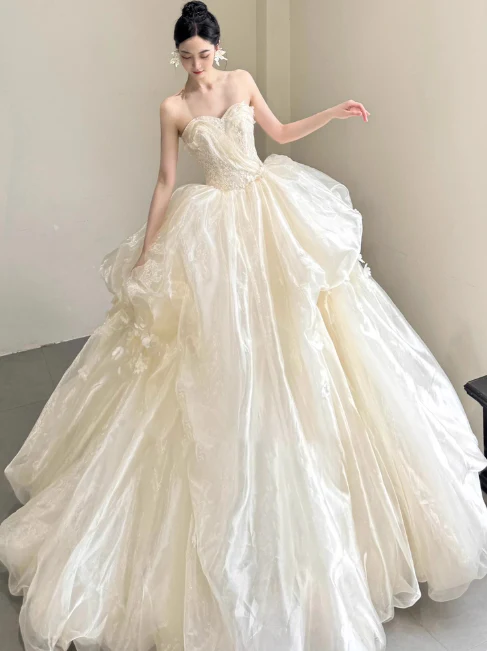 Elegant Strapless Ball Gown Tulle Long Luxury Wedding Dresses Light Champagne Sleeveless Bridal Gowns DP3019 - Deanwangkt