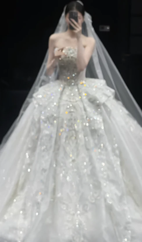 Timeless Strapless Ball Gown Tulle Wedding Dresses Beaded Applique White Bridal Gowns Sleeveless Bridal Dresses DP3356 - Deanwangkt