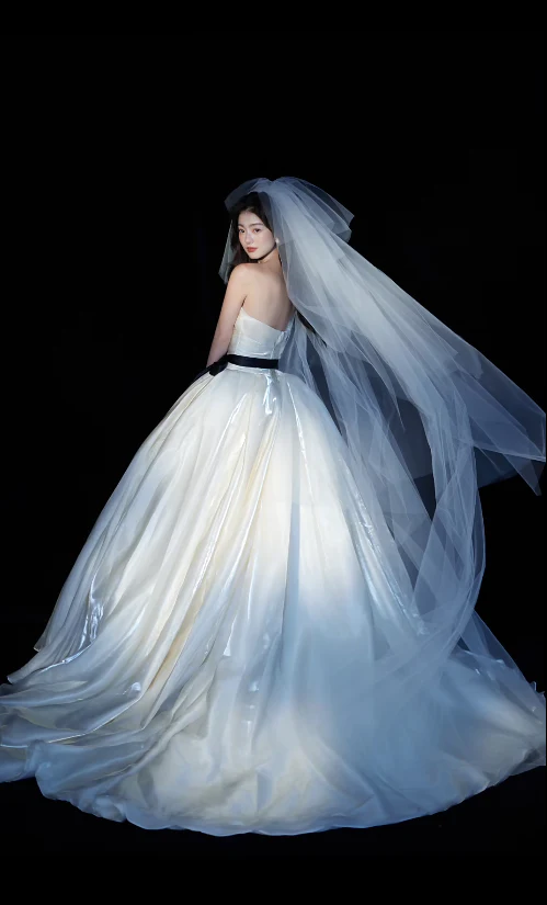 Luxury Strapless Ball Gown Long Wedding Dresses Tulle White Bridal Gowns Sleeveless Bridal Dresses DP3766 - Deanwangkt