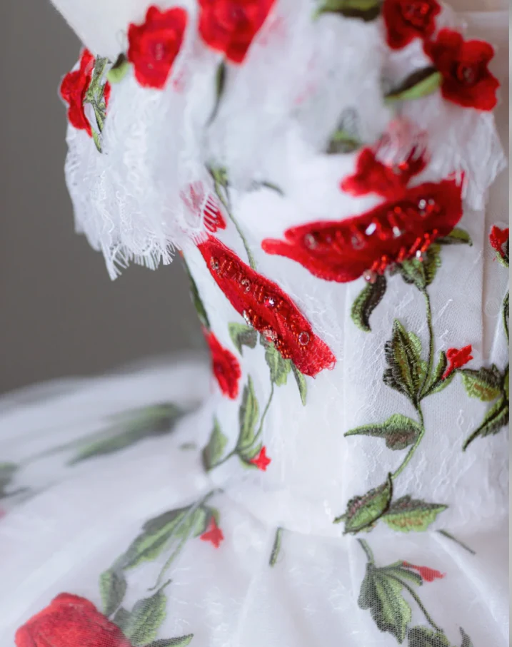 Classy Ball Gown Sweetheart Red White Tulle Prom Dresses Birthday Dresses Dance Party Dress Graduation Prom Dresses DP511 - Deanwangkt