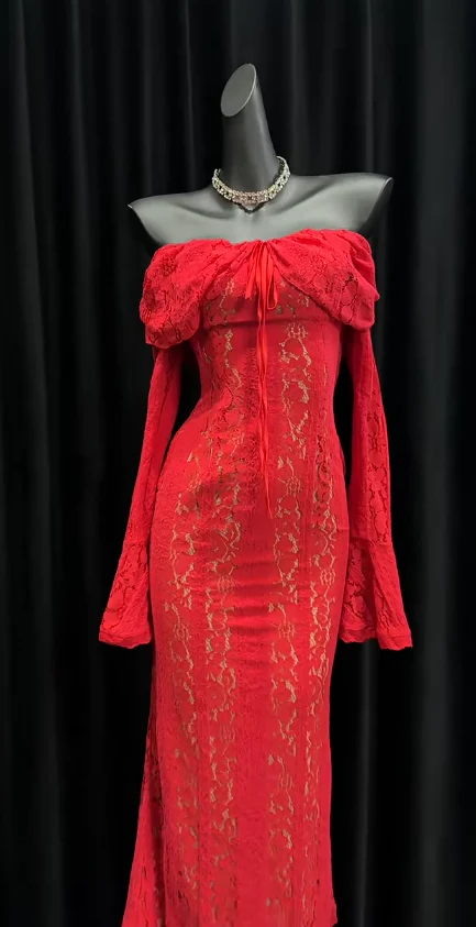 Glam Sheath Red Long Prom Dresses Long Sleeve Lace Red Evening Dresses DP04021 - Deanwangkt