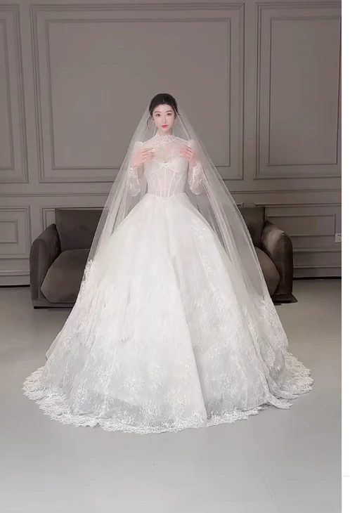 Modest Turtleneck Ball Gown Lace Applique Wedding Dress Elegant Long Sleeve Bridal Dress DP2968 - Deanwangkt