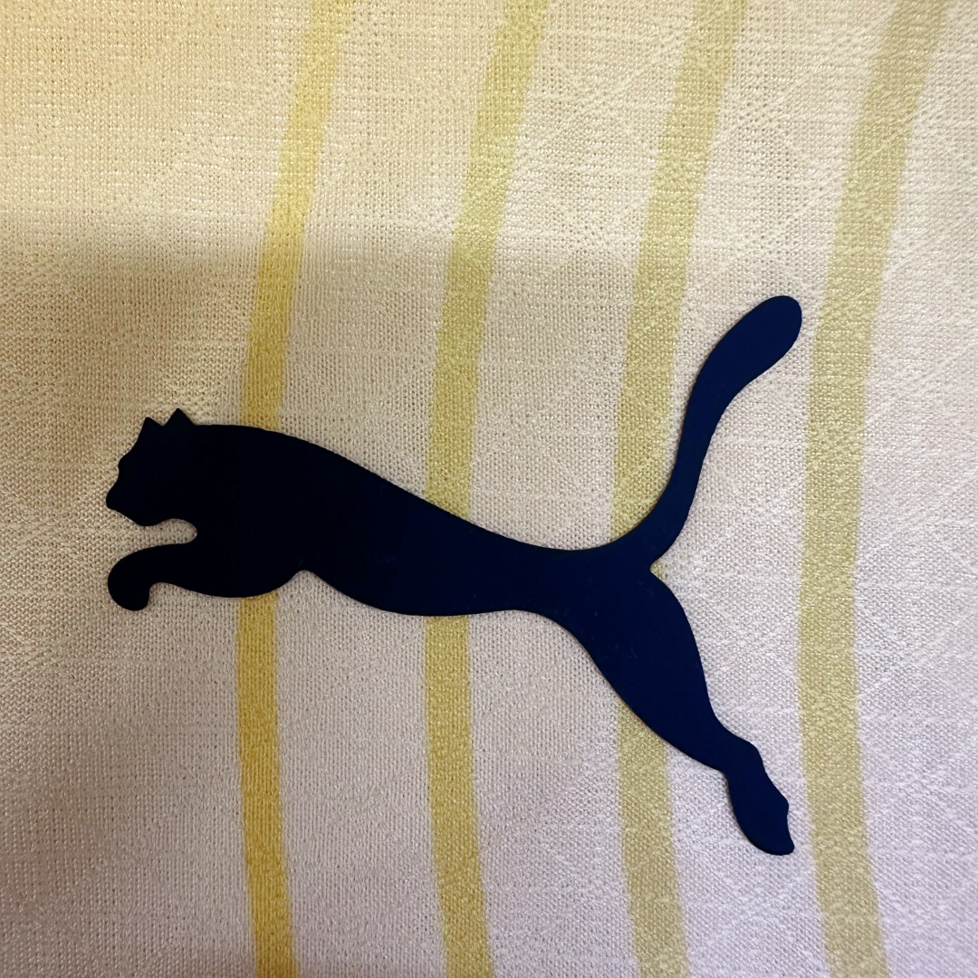 Player Version Manchester City Third Jersey 2024/25