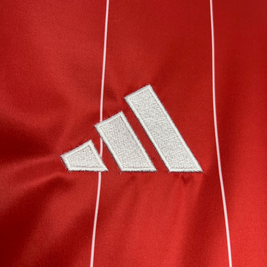 Colo Colo Third Jersey 2024