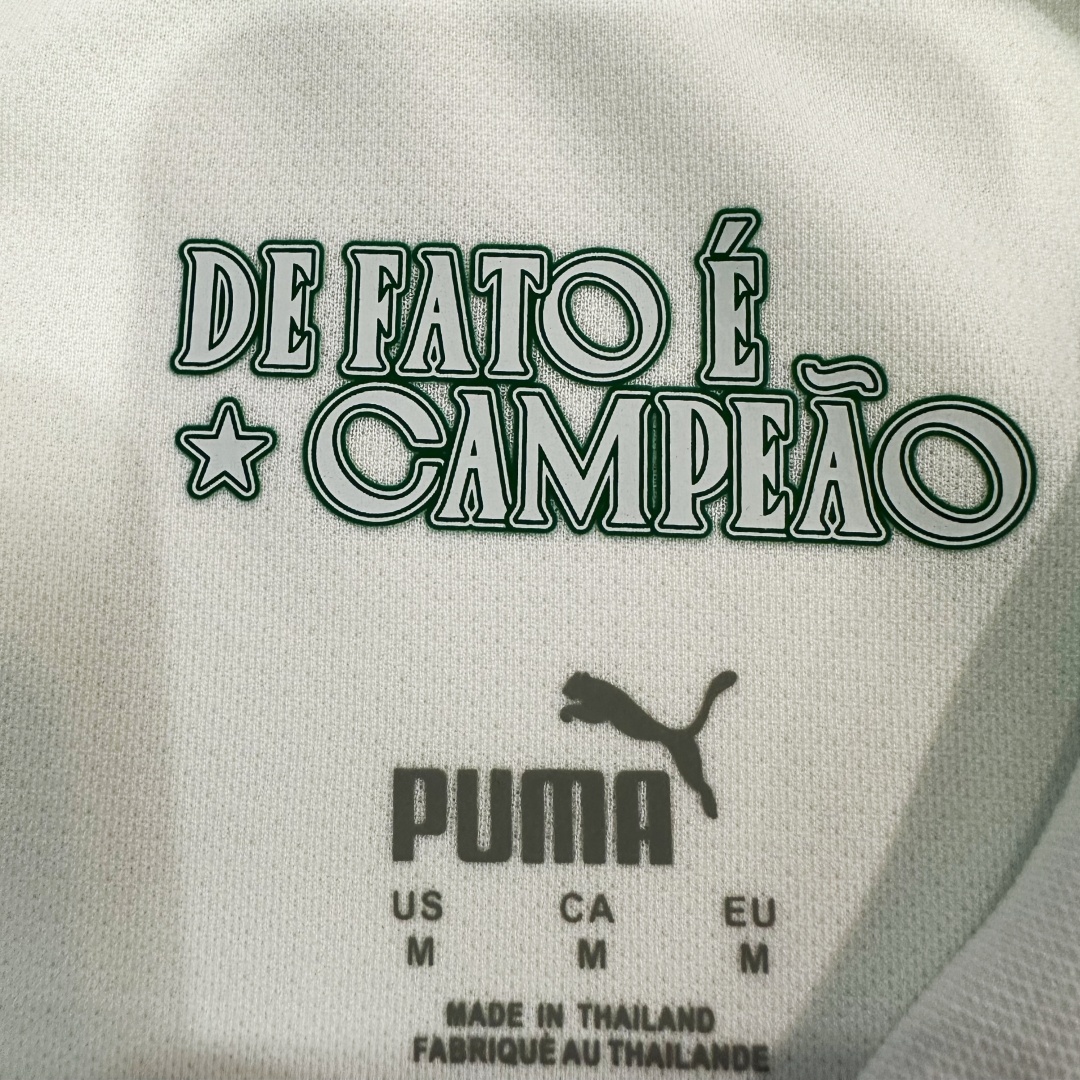 Player Version SE Palmeiras Away Jersey 2025