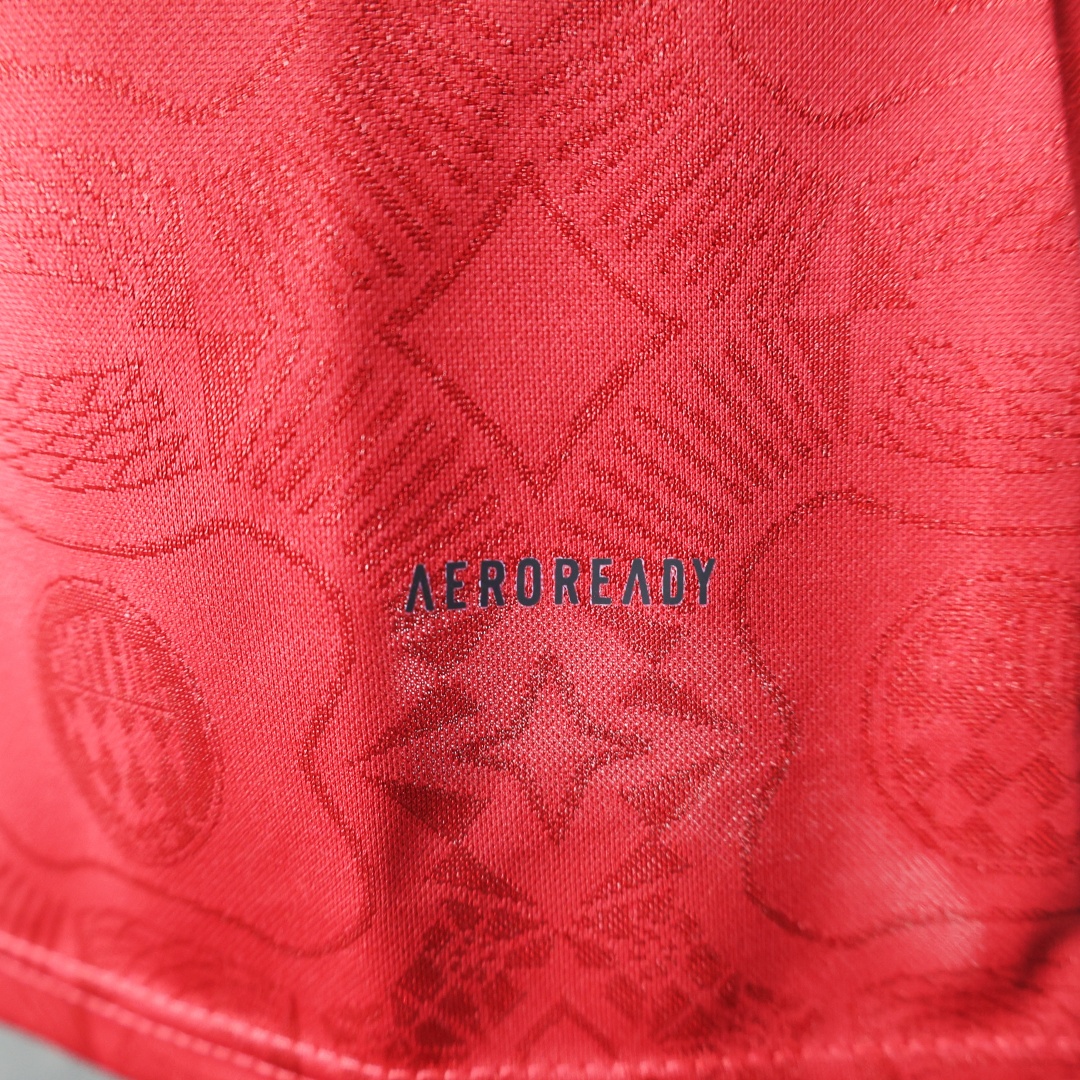 Player Version Bayern Munich 125th Anniversary Long Sleeve Third Jersey 2024/25