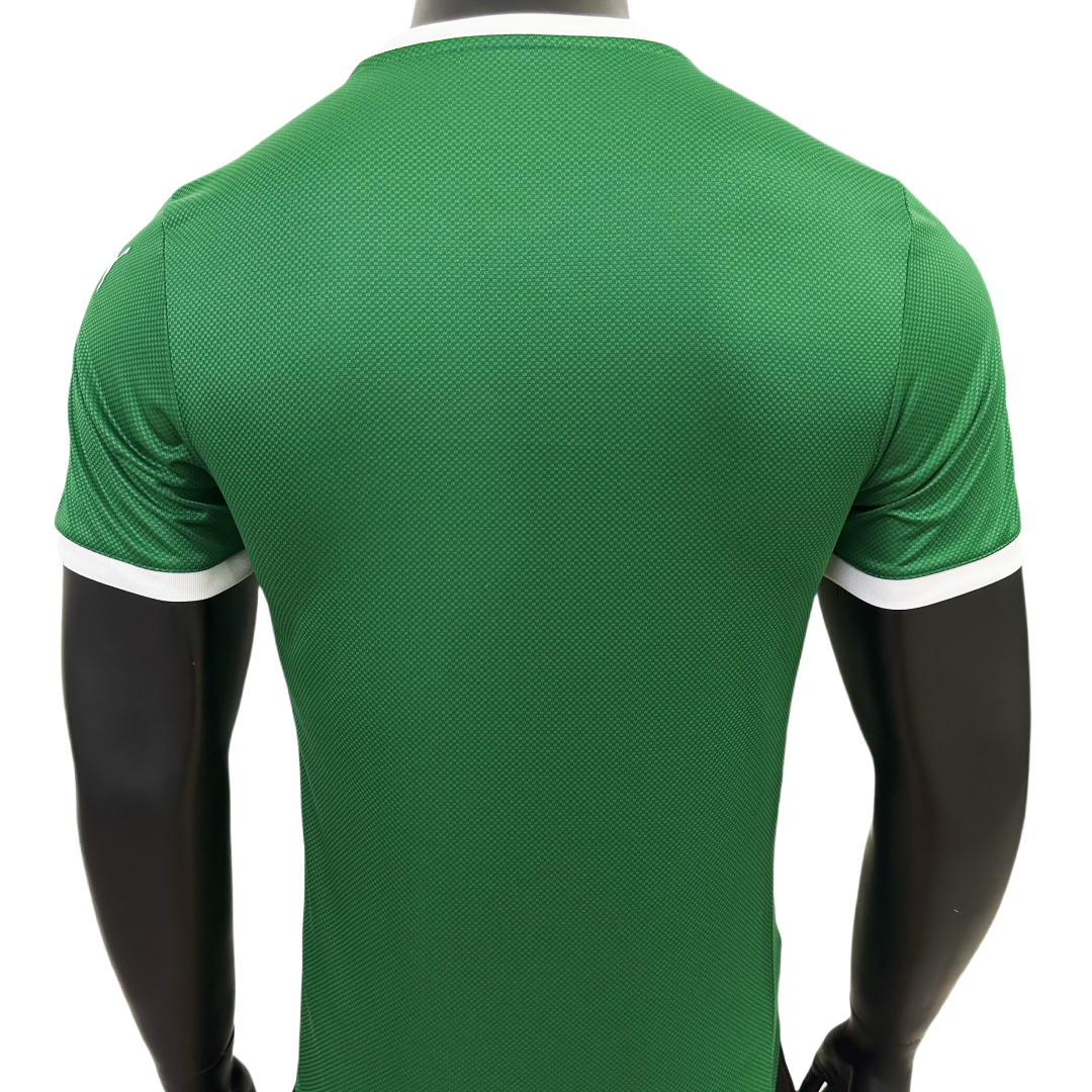 Player Version SE Palmeiras Home Jersey 2025