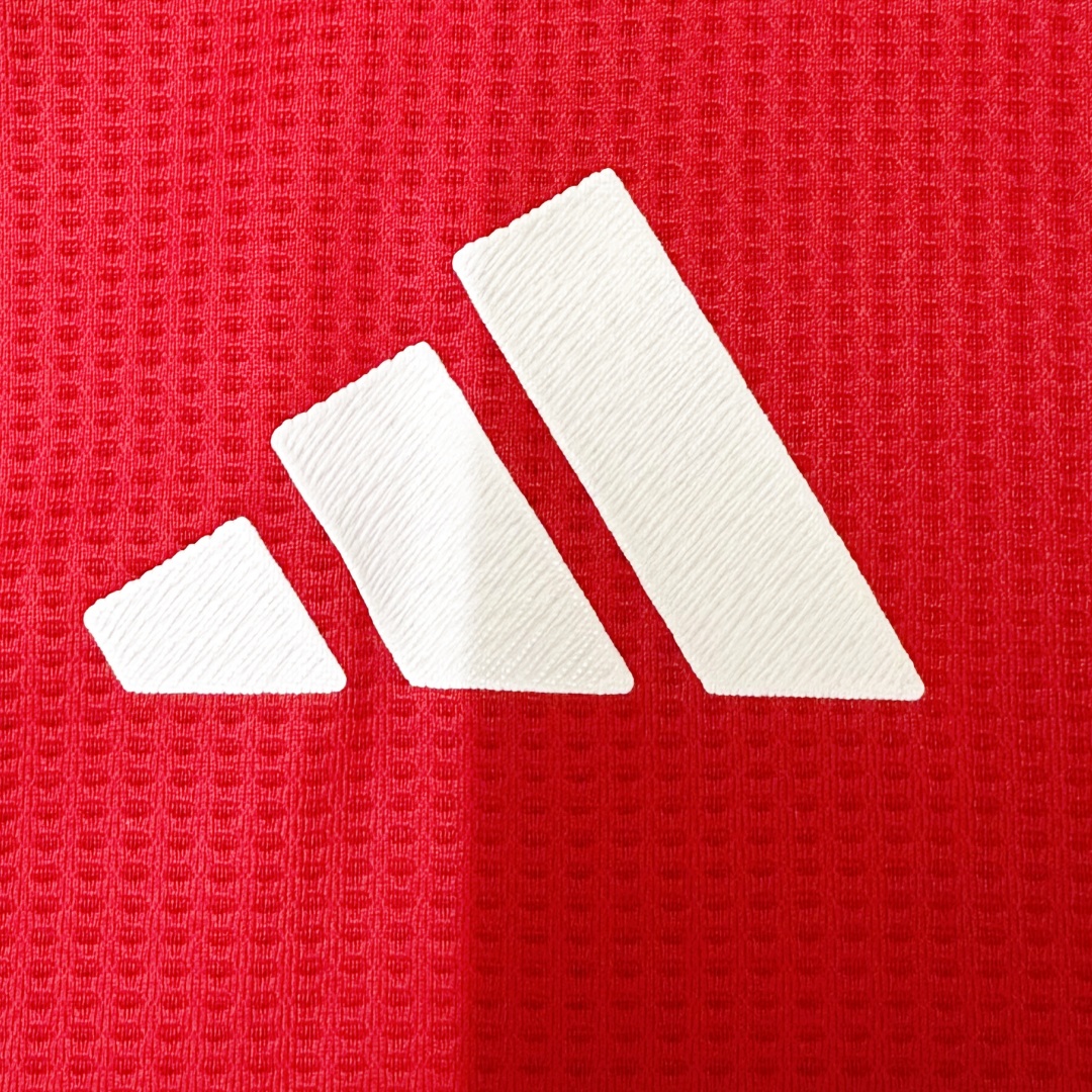 Player Version Manchester United Home Jersey 2024/25