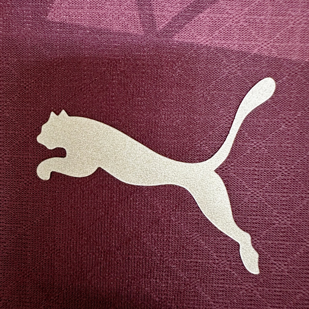 Player Version Manchester City Third Jersey 2024/25