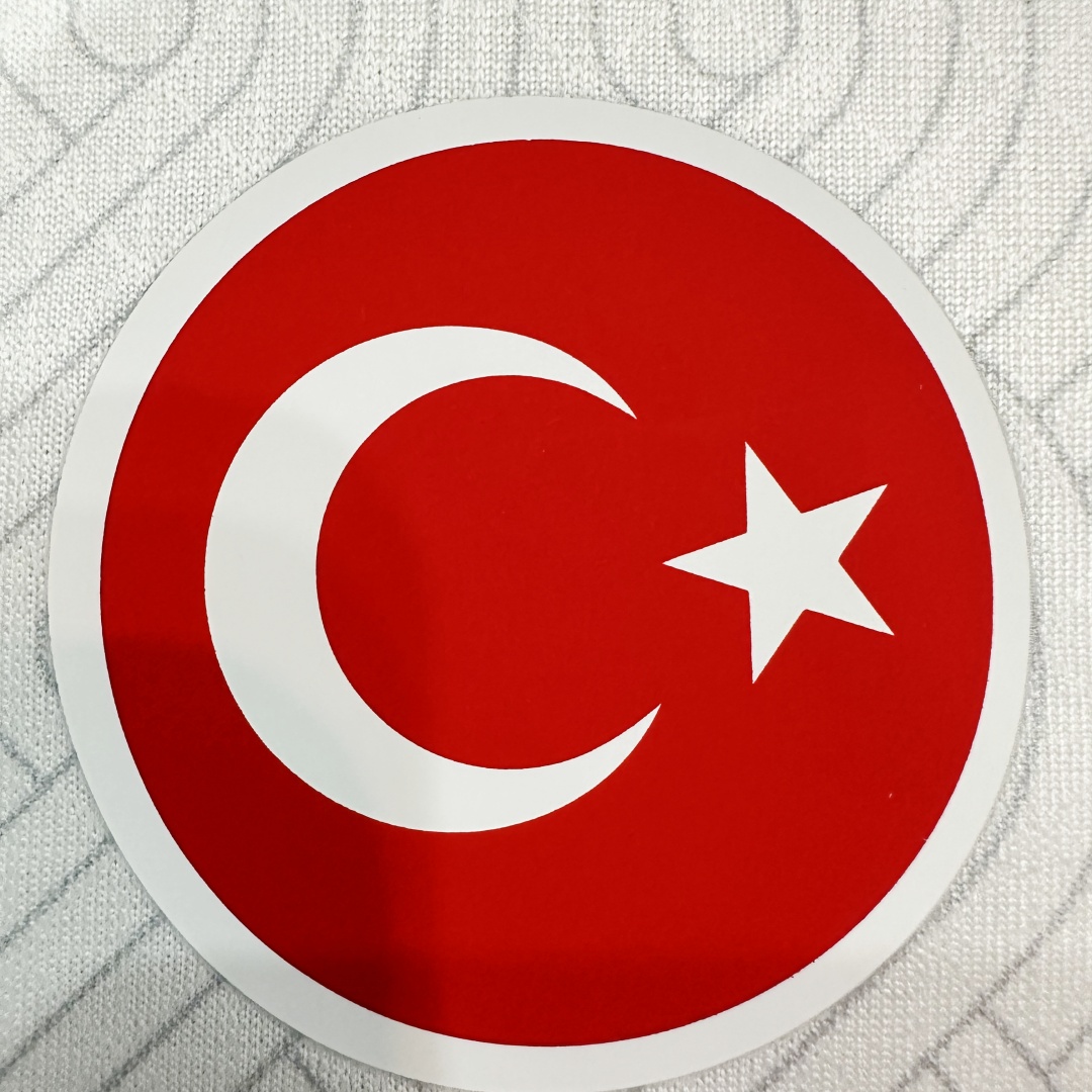 Player Version Galatasaray Away Jersey 2024/25