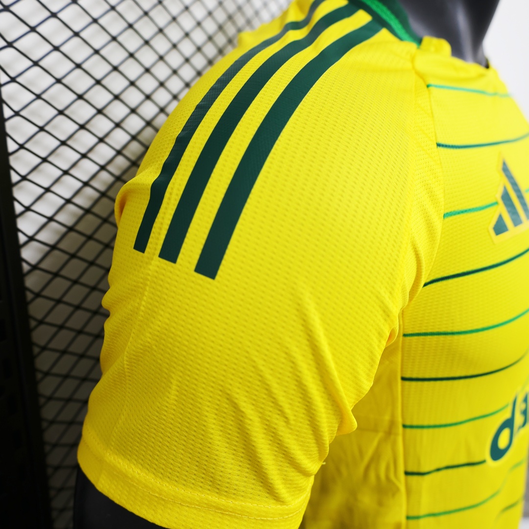Player Version Celtic Away Jersey 2024/25
