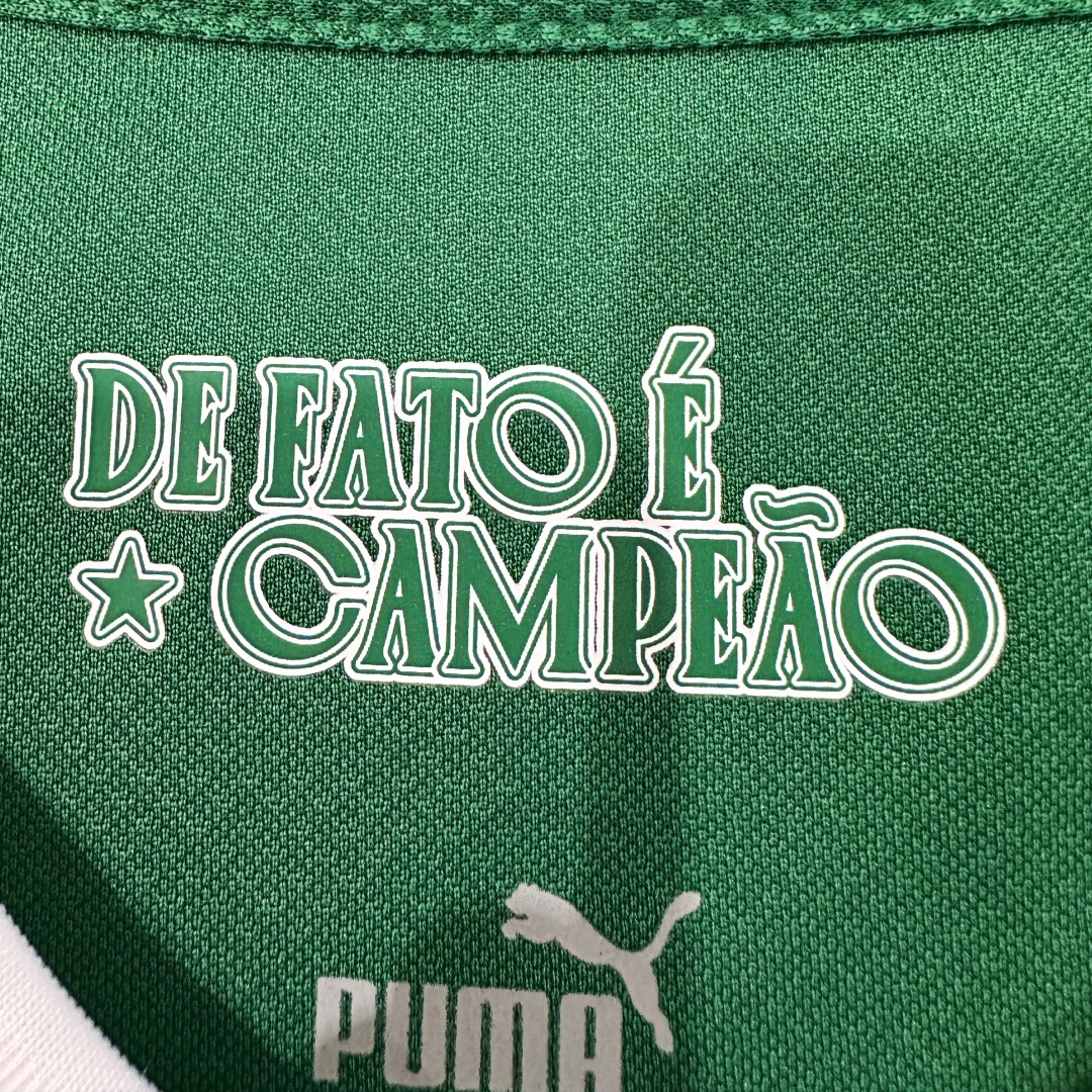 Player Version SE Palmeiras Home Jersey 2025