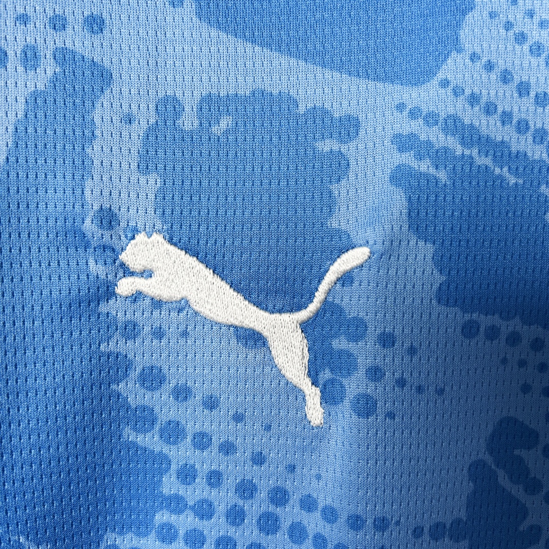 SE Palmeiras Goalkeeper Blue Jersey 2025