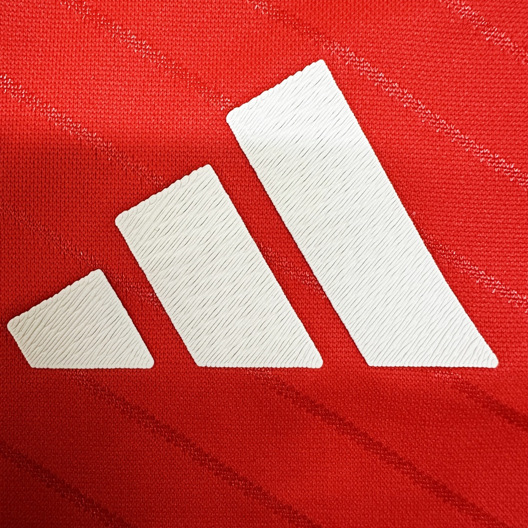 Player Version Benfica Home Jersey 2024/25