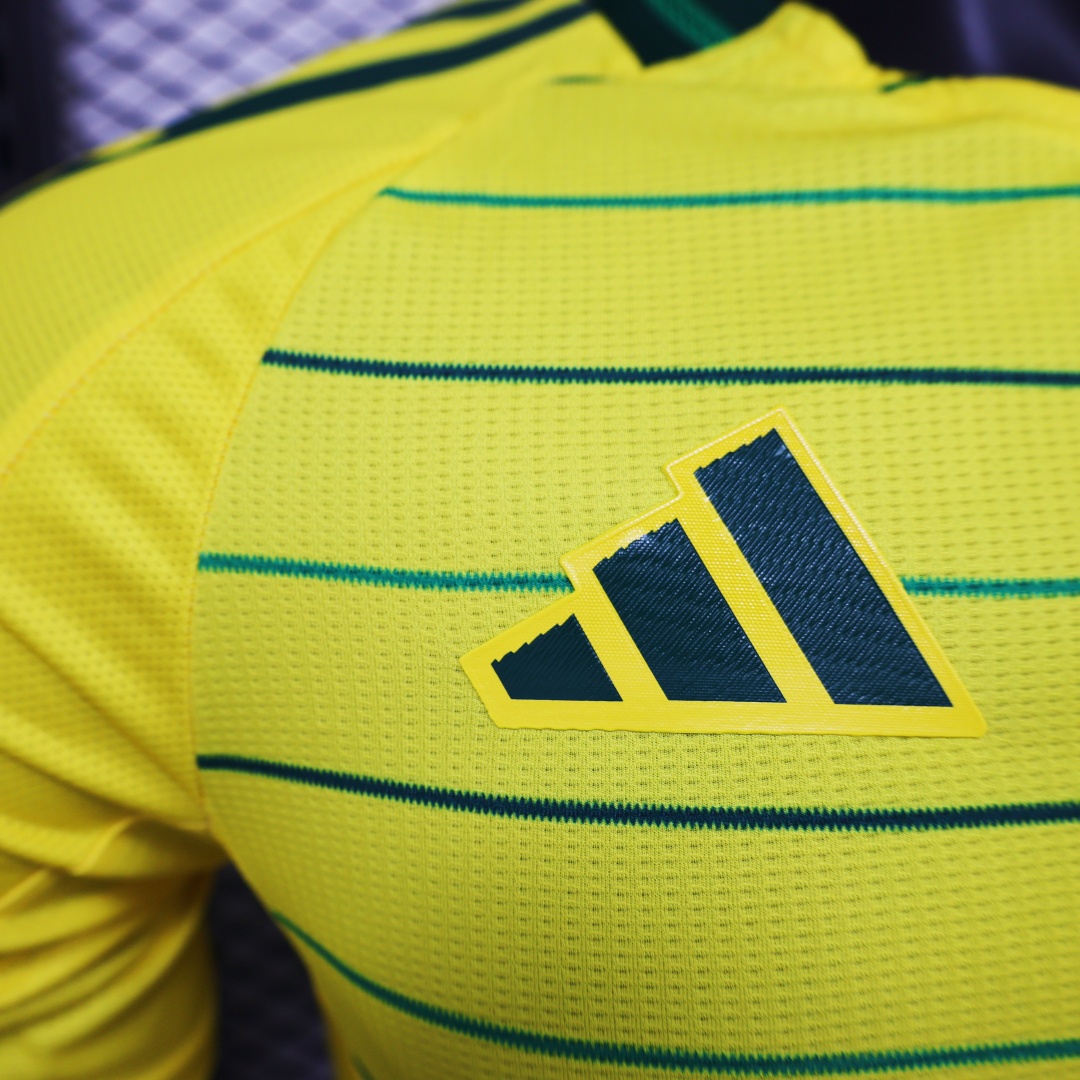 Player Version Celtic Away Jersey 2024/25