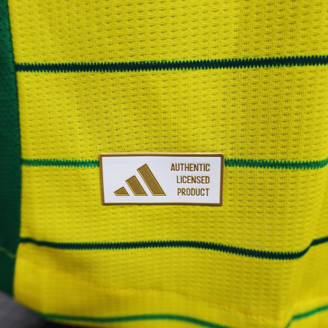 Player Version Celtic Away Jersey 2024/25