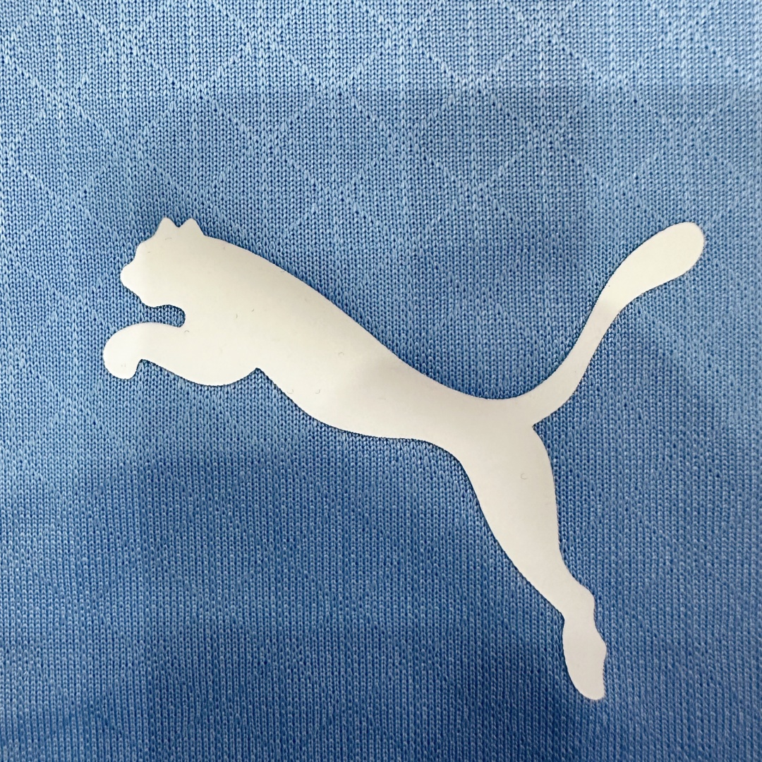 Player Version Manchester City Home Jersey 2024/25