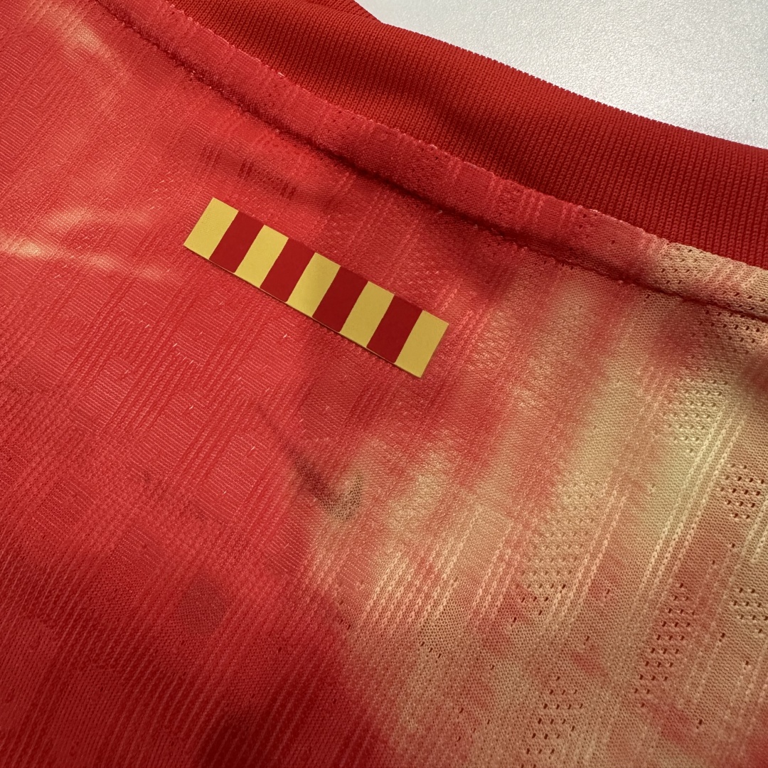 Player Version Barcelona Special Training Jersey 2024/25