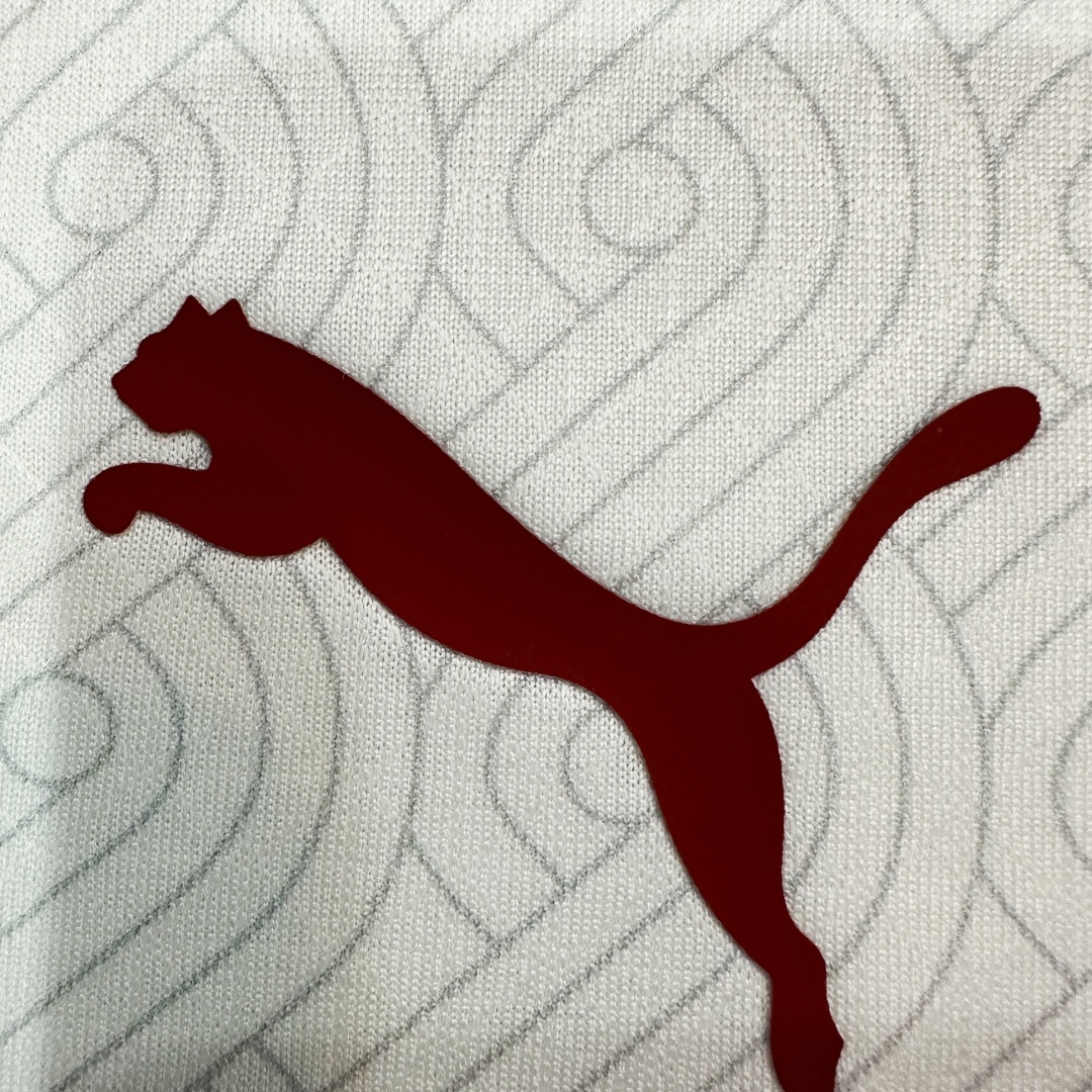 Player Version Galatasaray Away Jersey 2024/25