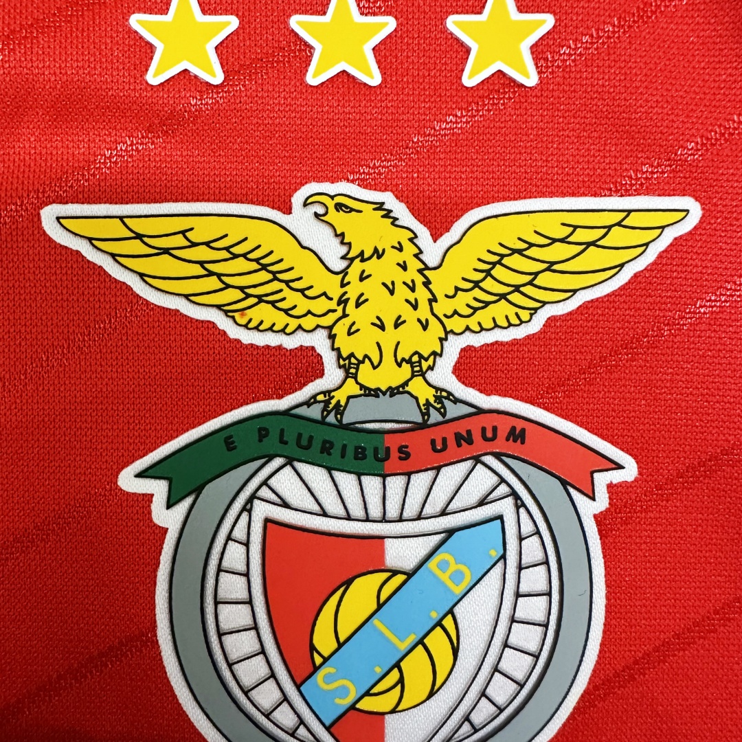 Player Version Benfica Home Jersey 2024/25