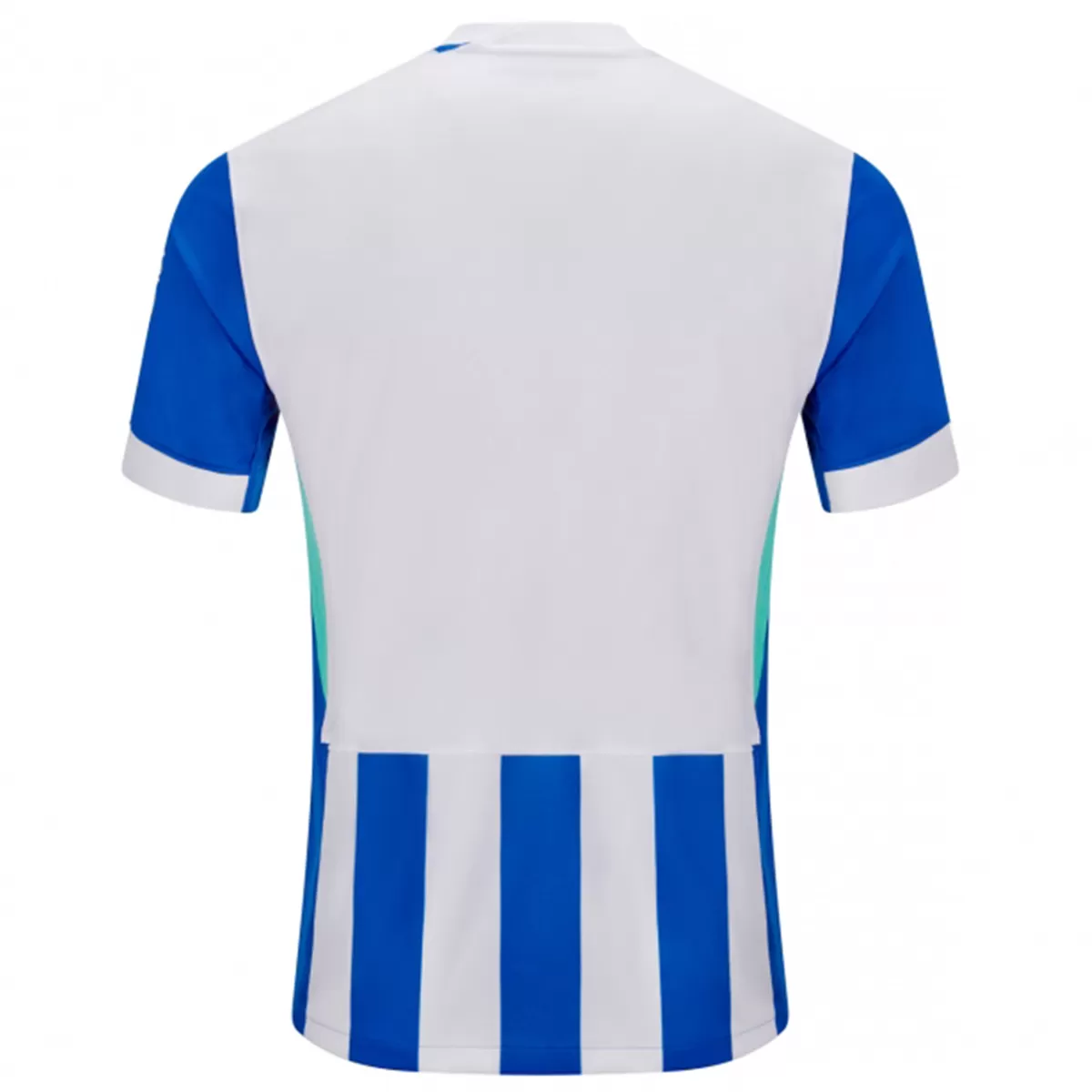 Brighton & Hove Albion Home Jersey 2025/26